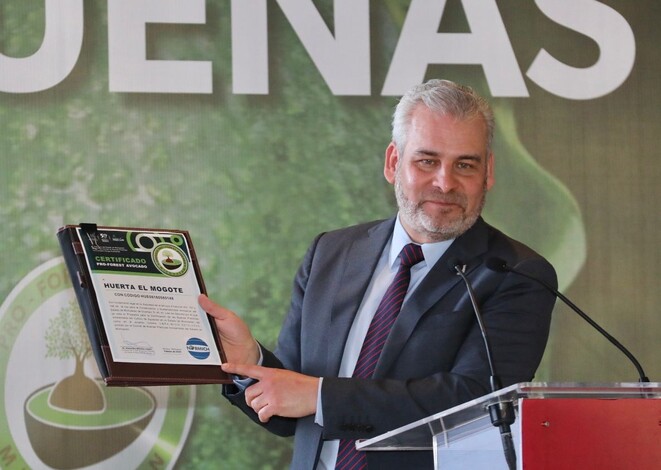 35 mil hectáreas limoneras buscan certificación de origen