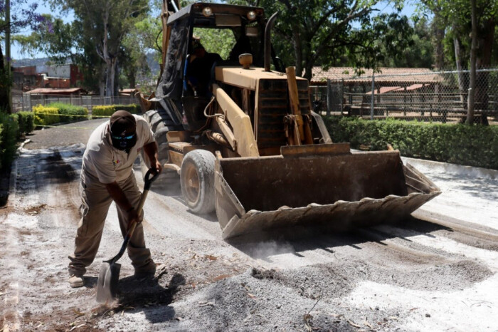 500 mil pesos costará limpieza y reconstrucción del Zoológico tras inundación por descarga del OOAPAS