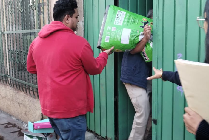 60 perritos en riesgo, FGE ordena regresarlos a su casa