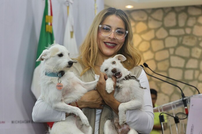 A cambio de esterilizaciones veterinarios recibirán boletos para Chayanne