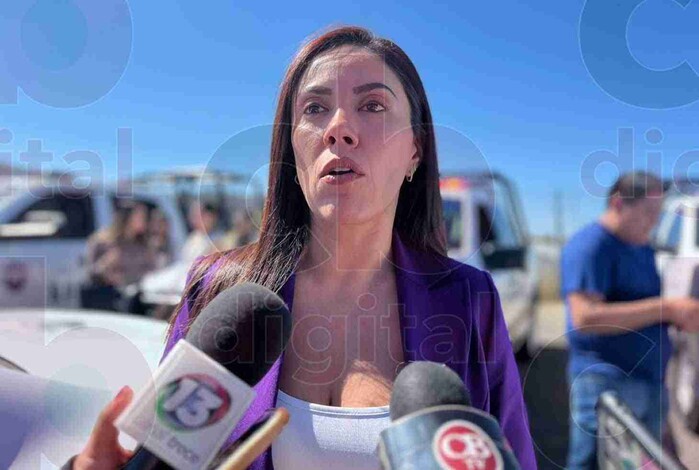 A la baja homicidio doloso y robo a casa-habitación en Apatzingán: Fanny Arreola