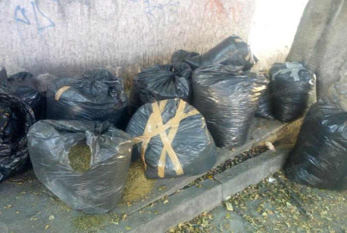 Aband0nan 250 kg de marihu4na en Arteaga