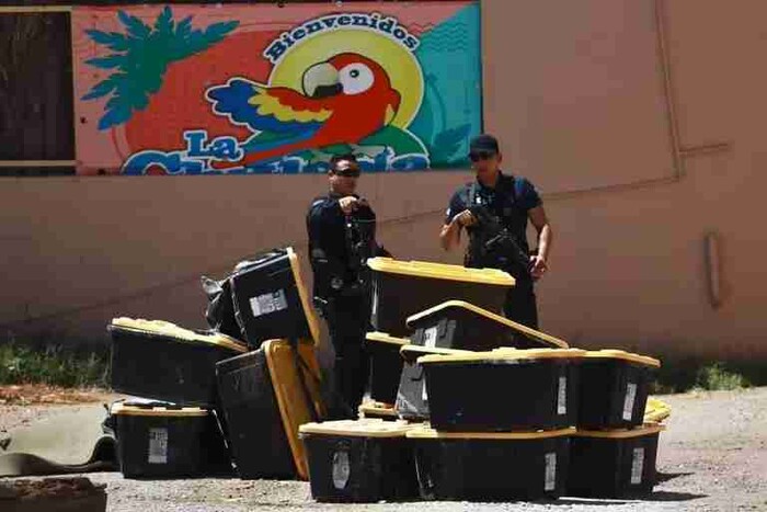 Abandonan 17 contenedores con tortugas muertas en Chihuahua