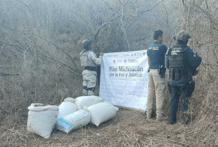 Abandonan 53 kilos de mar1huan4 en Huetamo