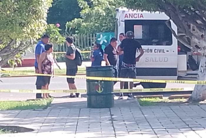 Abejas atacan a peatones en la zona Centro de Lázaro Cárdenas; reportan más de 8 afectados