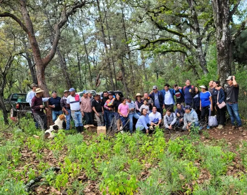 Acción Juvenil se suma a reforestación en oriente michoacano