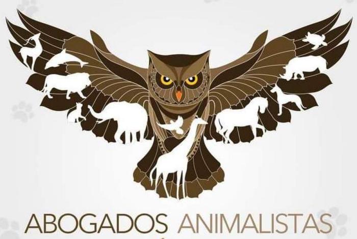 Activistas michoacanos claman castigo ejemplar contra policía por brutal agresión a lomito