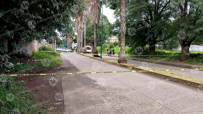 Adolescente choca contra palmera y muere, en Zacapu