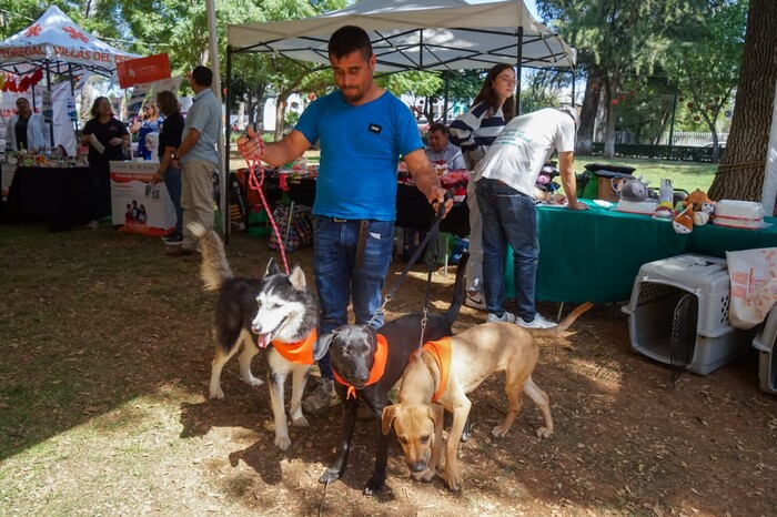 Adopta un lomito o michi en el Fin de Semana Animalista