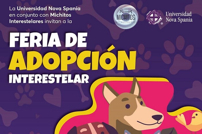 Adoptar es salvar una vida: feria de adopción en Morelia