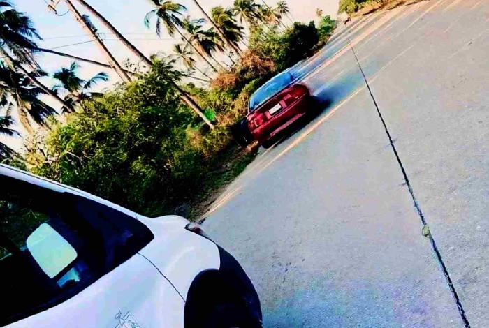 Adulta mayor muere camino al hospital, tras ser atacada por enjambre de abejas