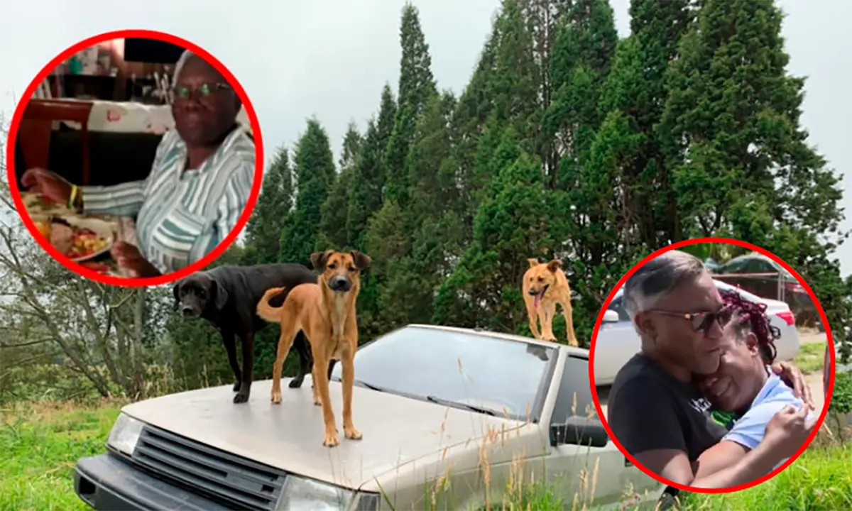 Adulta mayor pierde la vida por mordidas de perros en Miami