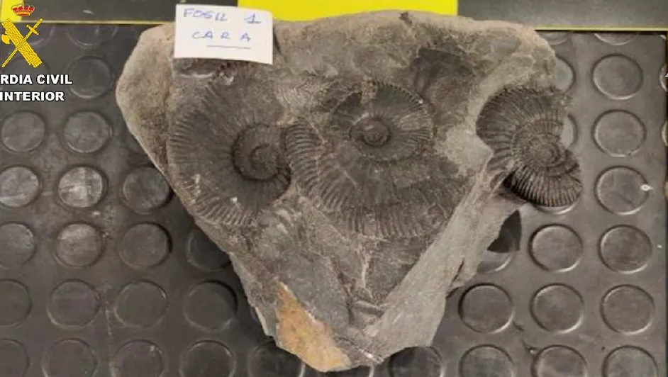 Aeropuerto de Bilbao requisa piezas arqueológicas de México y Ecuador