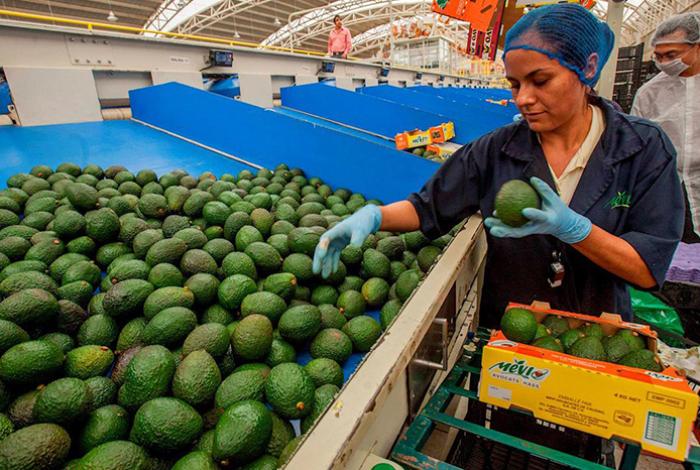 Agroindustriales proponen nuevo sistema para granos y piden no cerrar diálogo