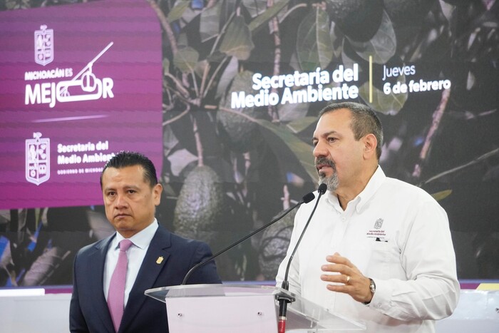 Aguacate michoacano para Super Bowl se produjo sin deforestación: Secma