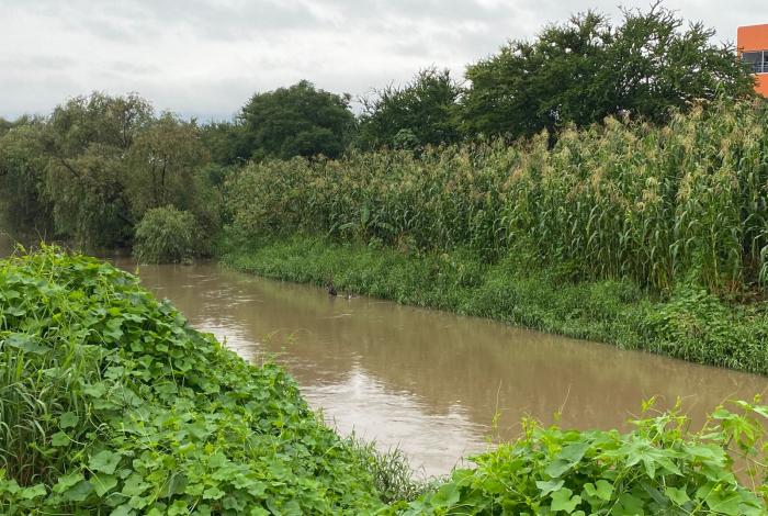 Alcanzan ríos, drenes y canales de Morelia hasta 70% de su capacidad