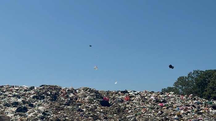 Alerta por crisis ambiental en Ziracuaretiro