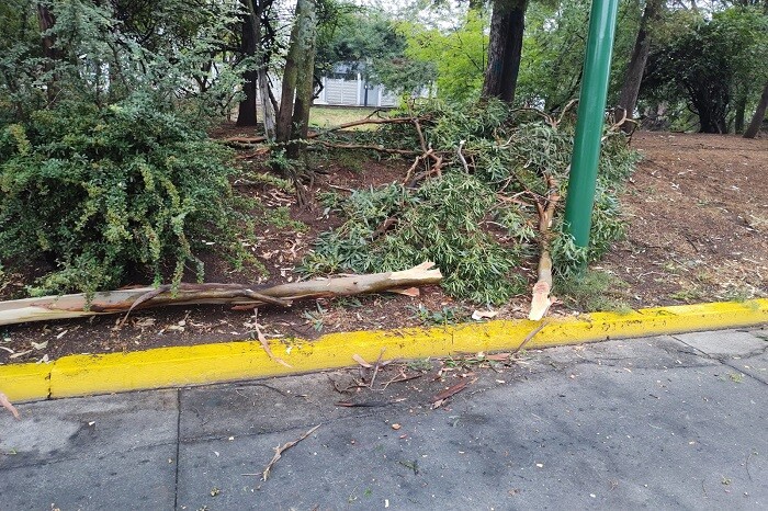 Alertan por lluvias todo el día en Morelia; estos son los números de emergencia