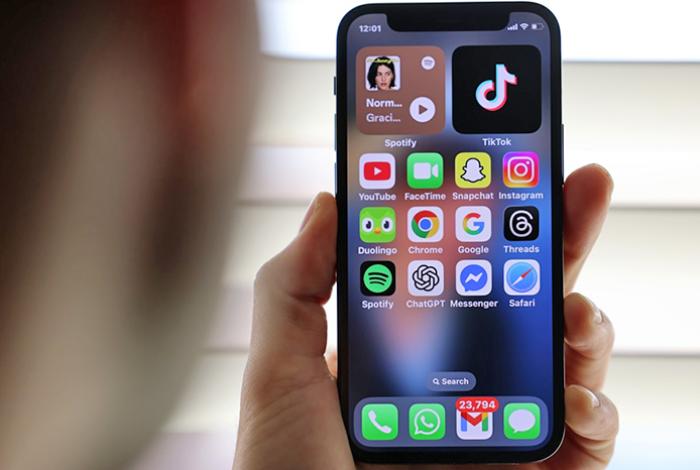 Alertan que nuevas generaciones podrían pasar hasta 20 años de su vida en redes sociales
