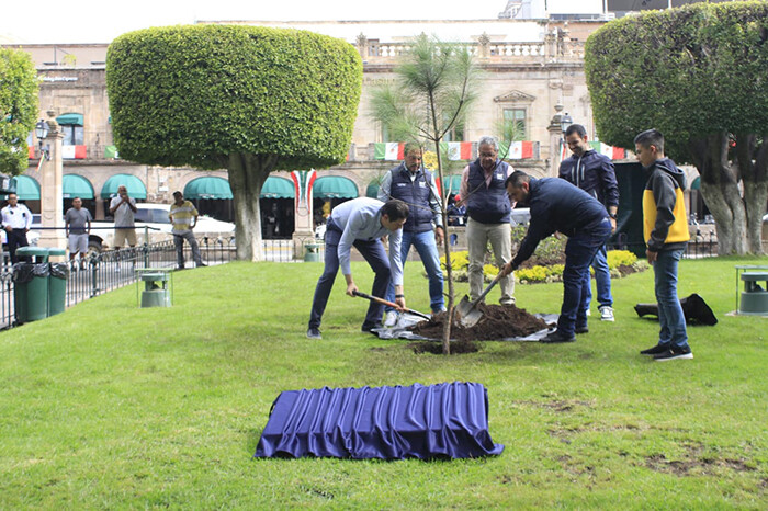 Alfonso Martínez planta el árbol “un millón” en Morelia