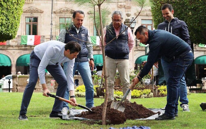 Alfonso Martínez planta el árbol «un millón» en Morelia