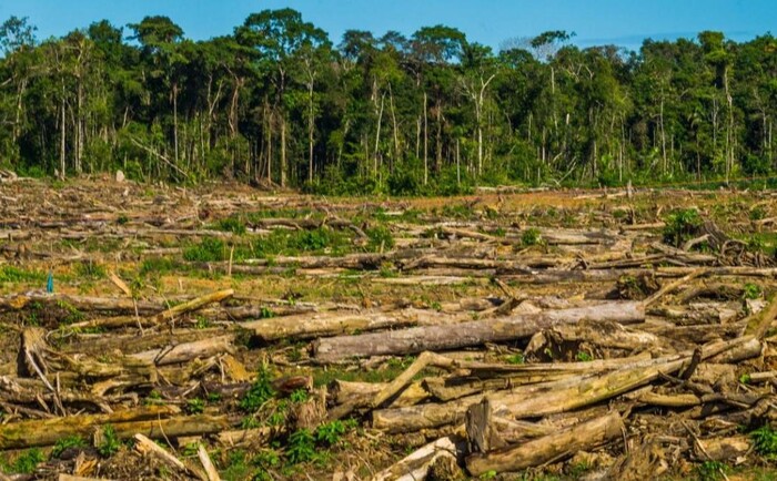 Alistan propuesta de reformas a leyes en temas de medio ambiente