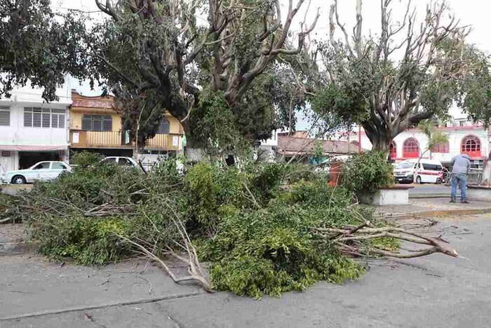 Alma Mireya González impulsa iniciativa por un Quiroga verde y saludable