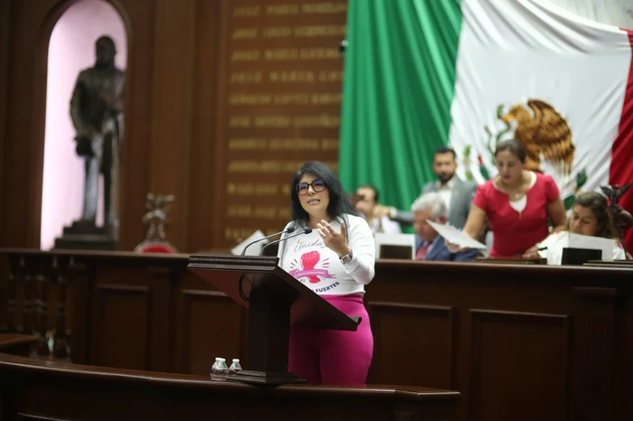 Alza la voz Vanhe Caratachea en el Congreso del Estado por la dignidad de las mujeres