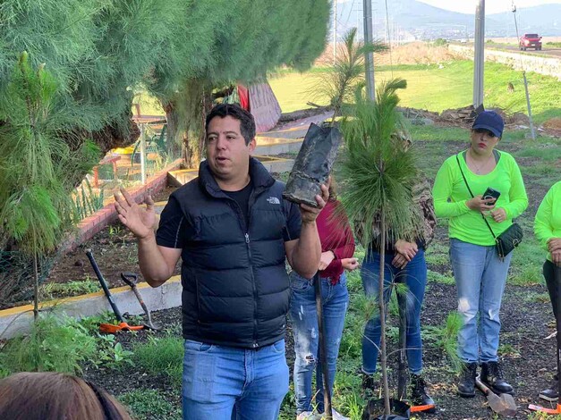 Ambientalistas buscarán reforestar 71 mil arbolitos en las inmediaciones del Lago de Cuitzeo