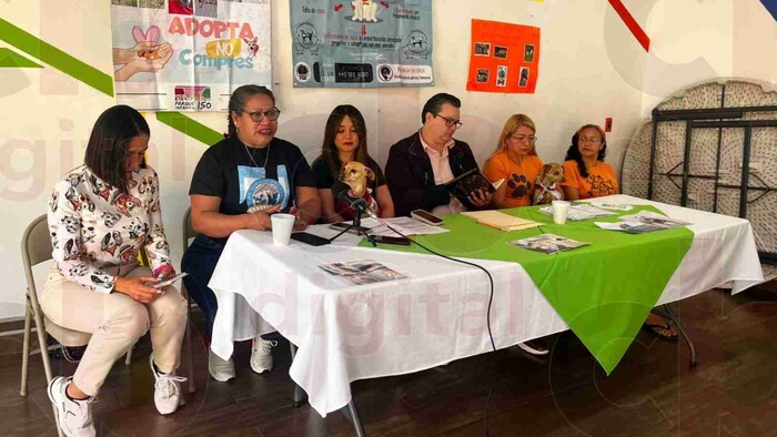 Animalistas piden se prohíba la entrada de niños y adolescentes a corridas de toros en Morelia