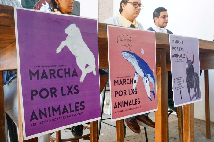 Animalistas se movilizarán por derechos de quienes no tienen voz