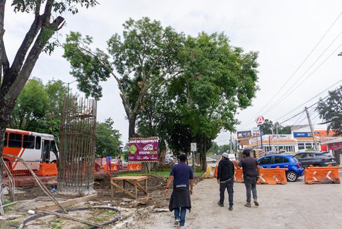 Ante derribo de árboles, Zoológico de Morelia mantiene vigilancia para la fauna en la zona de Tres Puentes
