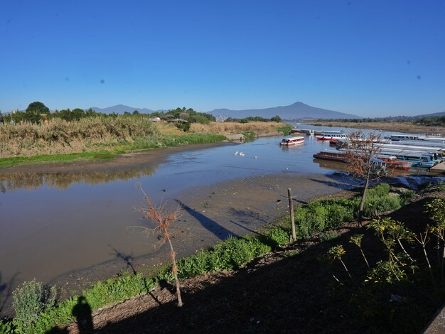 Ante sequía en sur del Lago de Pátzcuaro, ha comenzado invasión de particulares: Consejo Indígena