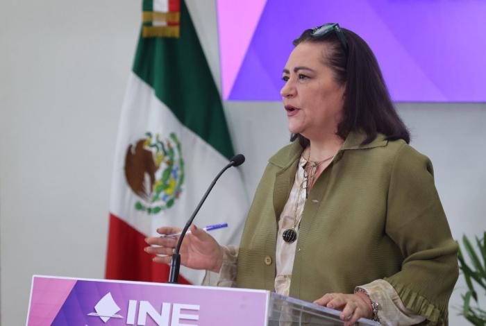 Aportará INE toda la argumentación técnica necesaria parademostrar la importancia de su estructura operativa: Guadalupe Taddei
