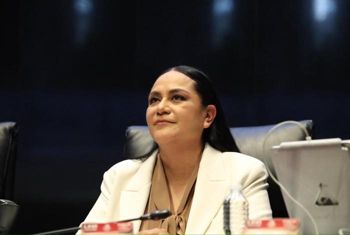 Ariadna Montiel hará buena labor al frente de Morena: Noroña