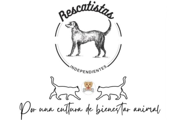 🐕‍🦺🐕Arrojan comida envenenada a casas con perritos en La Maestranza🐕🐕‍🦺