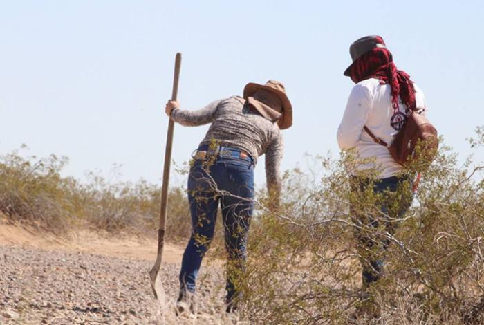 Artículo 19 expresa “profunda indignación” por asesinato de joven buscadora en México