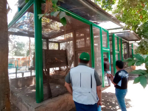Aseguran 119 animales en zoológico de Culiacán por irregularidades