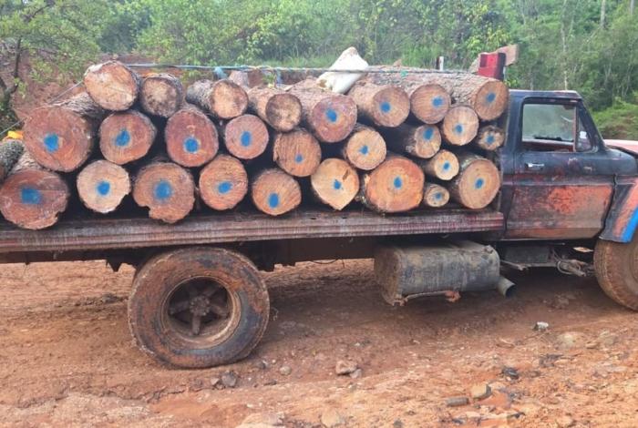 Aseguran camión con madera ilegal y camioneta robada en Jesús del Monte