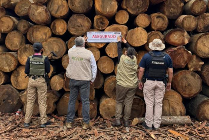 Aseguran madera y productos forestales durante inspección en Madero