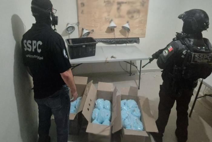 Aseguran más de 270 kilos de fentanilo y detienen a 6 personas en Colima