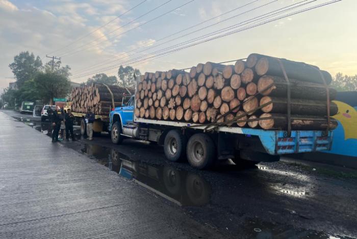 Aseguran tres camiones con madera y detienen a tres personas por posible documentación falsa en Charo