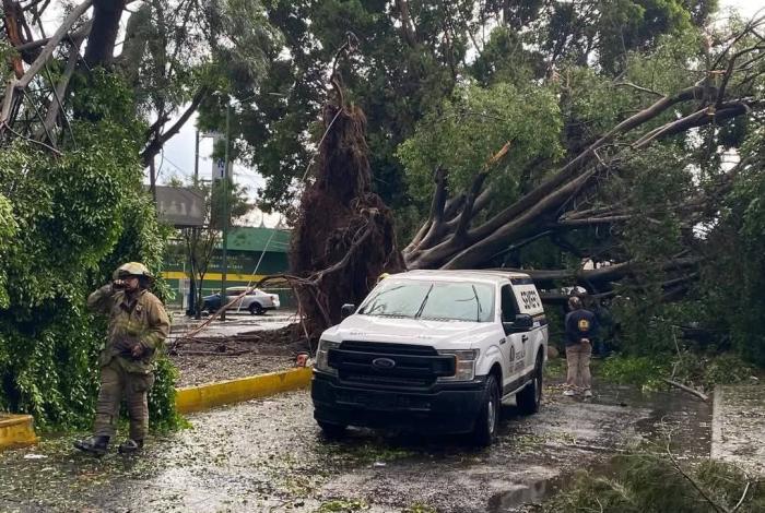 Así fue la tromba que se registró ayer en Zamora