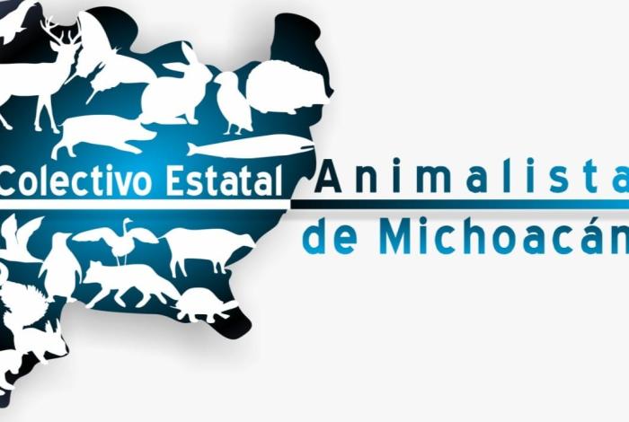 “Asociaciones animalistas lanzan un enérgico ‘¡Ya basta!’ ante el envenenamiento masivo de animales”