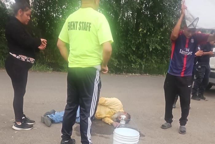 Ataque de abejas deja cuatro hospitalizados, tres graves