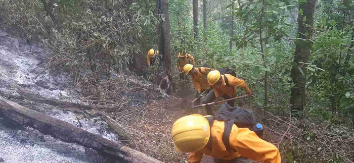 Atienden 9 incendios forestales en Michoacán, controlado uno de ellos en Morelia