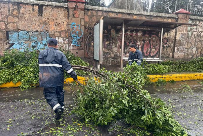 Atienden brigadas municipales reportes por lluvias de este viernes