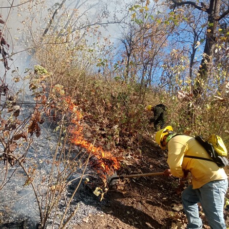 Atienden brigadas nuevo incendio forestal en cerro del Quinceo