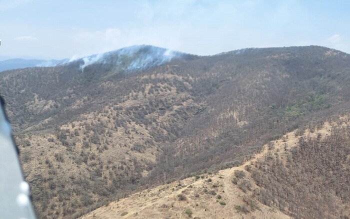 Atienden por aire y tierra incendio forestal en Cerro Verde, en Morelia