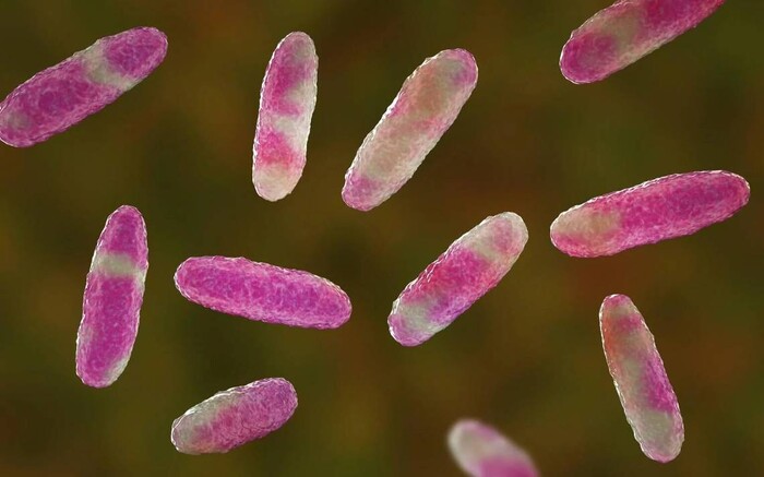 Aumenta a 13 el número de muertos por brote de klebsiella oxytoca